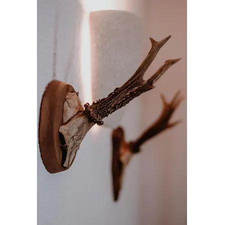 Gaestehaus Seezeit * Neu Sallenthin